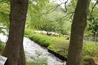 Onderhoud en beheer 2012 in het MarkeMallem gebied