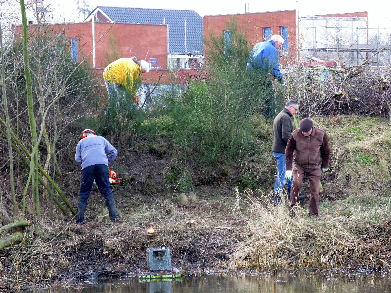 Vogelbroedgebied geschoond